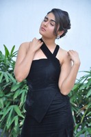 Shalini Pandey Latest Gallery